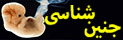 جنین شناسی