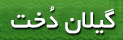گیلان دخت