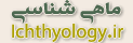 ماهی شناسی