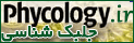 جلبک شناسی